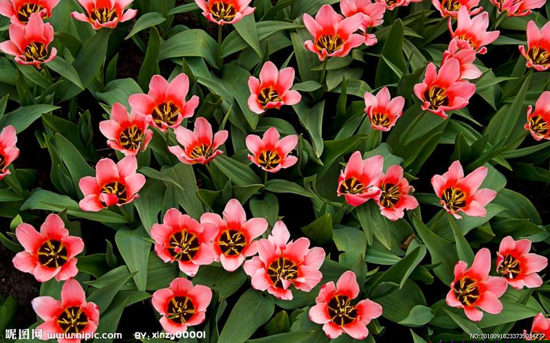 <strong>菠菜信用网：新澳门开奖直播下载安装(澳门开奖现场直播1688)(1)</strong>