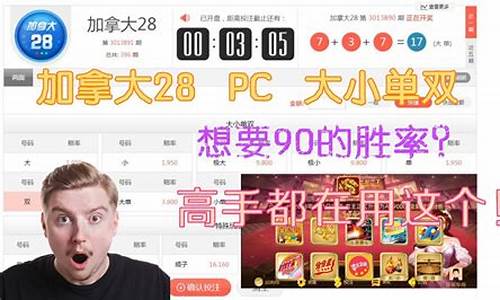 pc28高手(pc28高手心得) (2)(1)