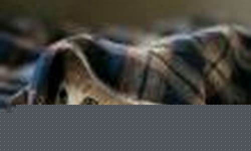<strong>买球可以在哪里买(买球在哪里买比较安全)(1)</strong>