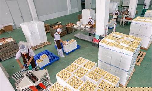 <strong>免费送彩金的白菜网站(2018送彩金的网站大白菜)</strong>