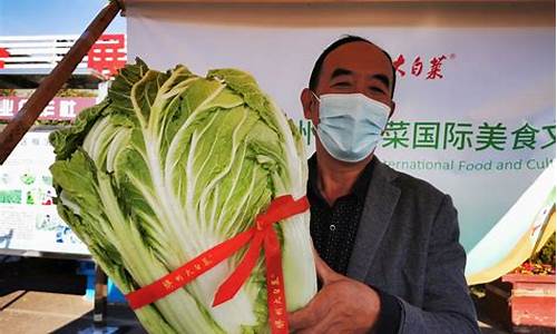 大白菜官网哪个是真的(大白菜官网是什么)(1)