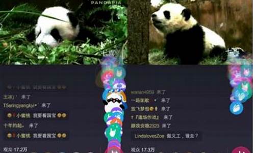 十大菠菜软件：罗马协会熊猫直播间(罗马协会熊猫直播间在哪)(1)